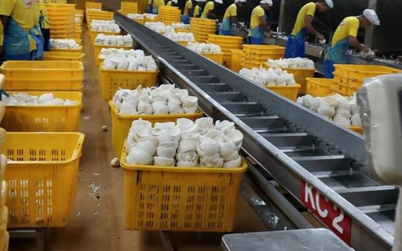 Manufacturing Facility 6